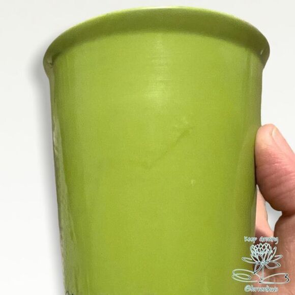 Green Angry Bird Ceramic Cup - Picture 5 of 6